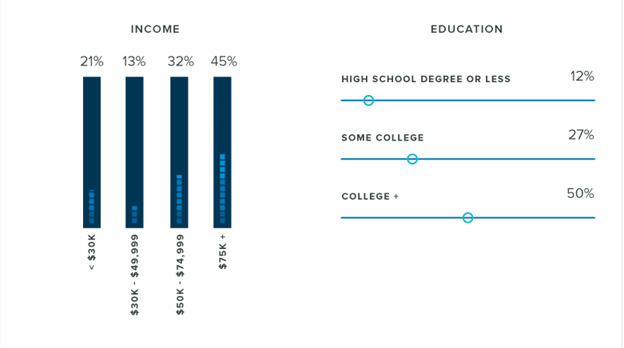 LinkedIn Demographics