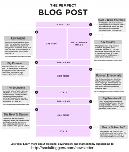 The Perfect Blog Post infographic by SocialTriggers.com.